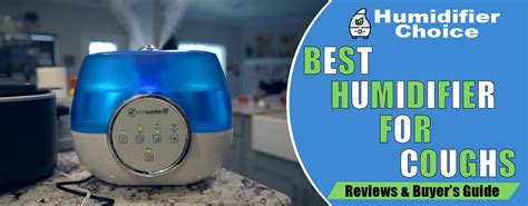 8 Best Humidifier For Coughs Relief In 2023 .